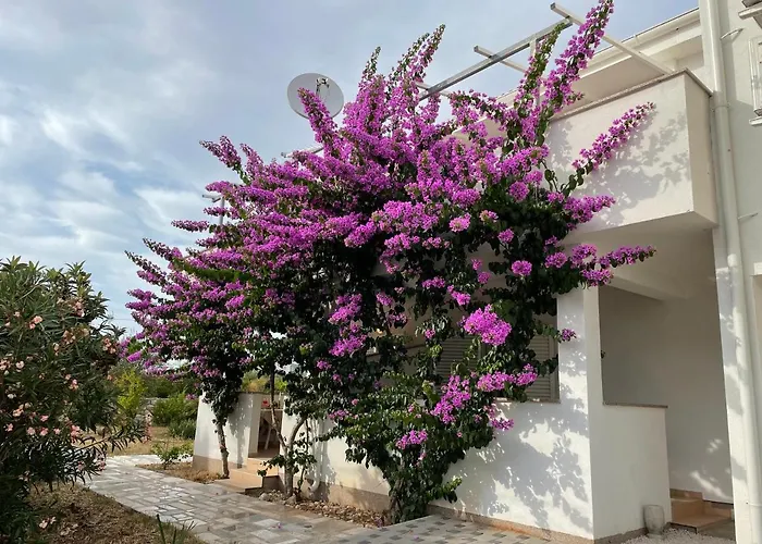 Novalja Apartments By Nena